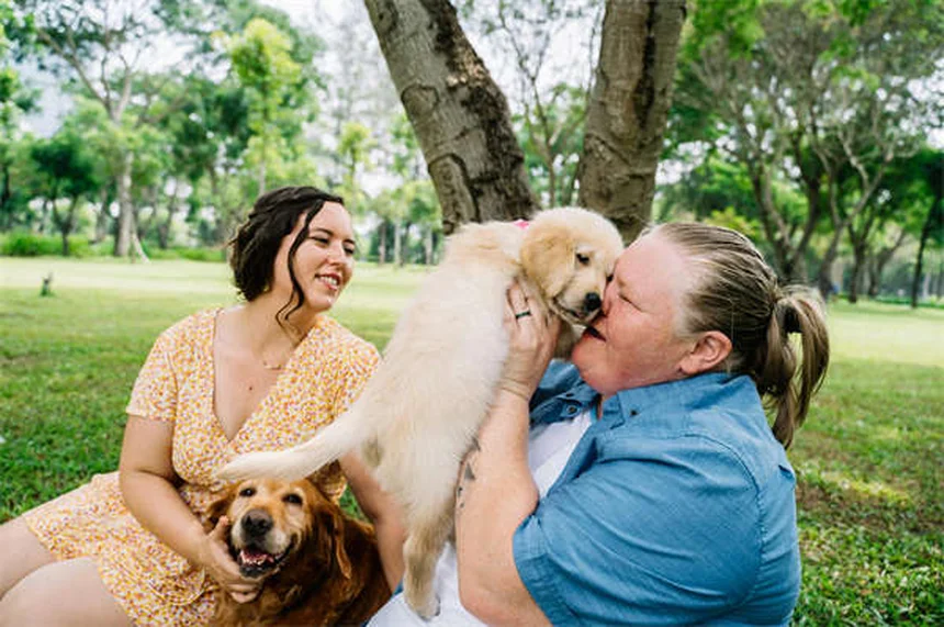 Holiday Pet Safety Tips: 5 Vet-Approved Ways to Protect Your Pets